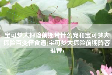 宝可梦大探险前期带什么宠和宝可梦大探险百变怪食谱(宝可梦大探险前期阵容推荐)