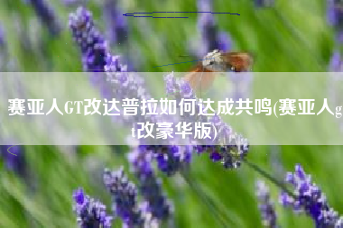 赛亚人GT改达普拉如何达成共鸣(赛亚人gt改豪华版)