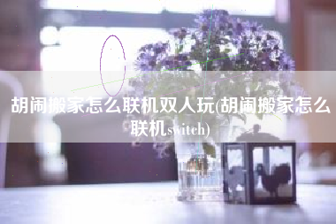 胡闹搬家怎么联机双人玩(胡闹搬家怎么联机switch)