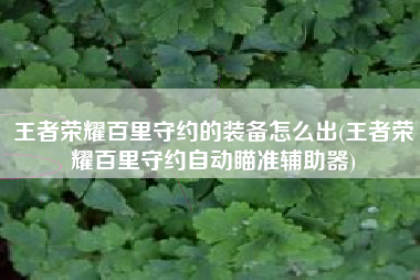 王者荣耀百里守约的装备怎么出(王者荣耀百里守约自动瞄准辅助器)