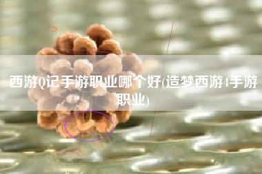 西游Q记手游职业哪个好(造梦西游4手游职业)