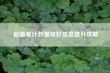 超喵星计划猫咪好感度提升攻略