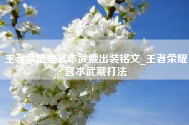王者荣耀里宫本武藏出装铭文_王者荣耀宫本武藏打法