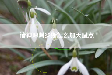 诸神深渊罗斯怎么加天赋点