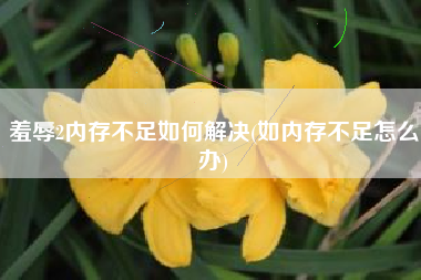 羞辱2内存不足如何解决(如内存不足怎么办)