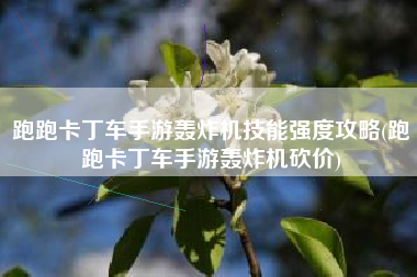跑跑卡丁车手游轰炸机技能强度攻略(跑跑卡丁车手游轰炸机砍价)