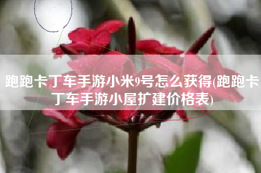跑跑卡丁车手游小米9号怎么获得(跑跑卡丁车手游小屋扩建价格表)