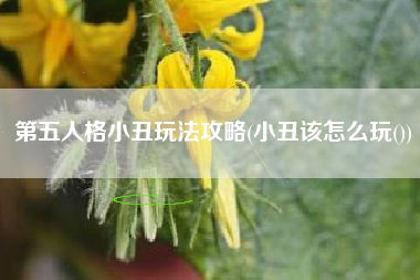 第五人格小丑玩法攻略(小丑该怎么玩())