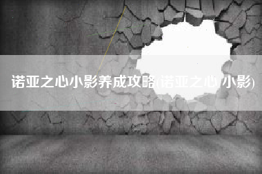 诺亚之心小影养成攻略(诺亚之心 小影)