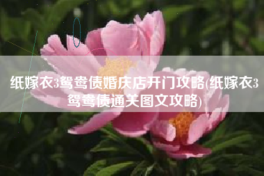 纸嫁衣3鸳鸯债婚庆店开门攻略(纸嫁衣3鸳鸯债通关图文攻略)