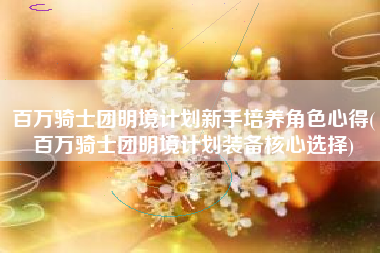 百万骑士团明境计划新手培养角色心得(百万骑士团明境计划装备核心选择)