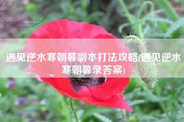 遇见逆水寒朝暮副本打法攻略(遇见逆水寒朝暮录答案)