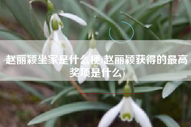 赵丽颖坐家是什么梗(赵丽颖获得的最高奖项是什么)