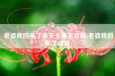 老婆我回来了全关卡通关攻略(老婆我回来了攻略)