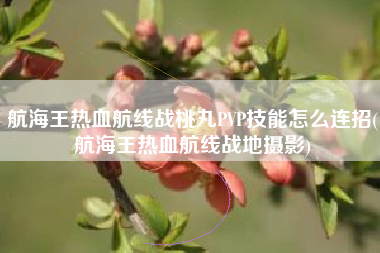 航海王热血航线战桃丸PVP技能怎么连招(航海王热血航线战地摄影)