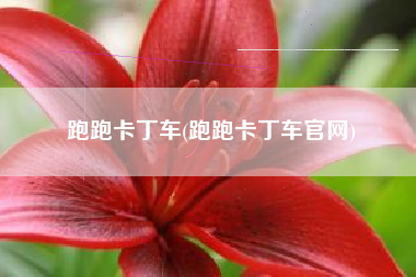 跑跑卡丁车(跑跑卡丁车官网)