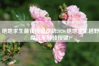 绝地求生最佳按键改动2020(绝地求生越野摩托车特技按键)