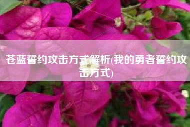 苍蓝誓约攻击方式解析(我的勇者誓约攻击方式)
