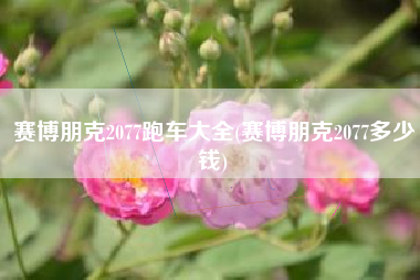 赛博朋克2077跑车大全(赛博朋克2077多少钱)