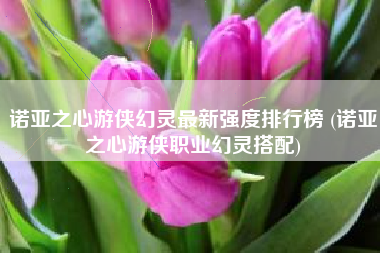 诺亚之心游侠幻灵最新强度排行榜 (诺亚之心游侠职业幻灵搭配)