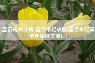 皇帝成长计划2董卓本纪攻略(董卓本纪策卡速刷通关流程)