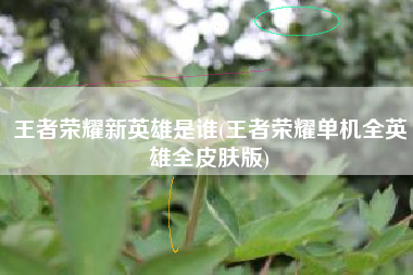 王者荣耀新英雄是谁(王者荣耀单机全英雄全皮肤版)