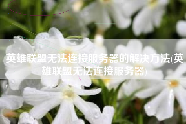 英雄联盟无法连接服务器的解决方法(英雄联盟无法连接服务器)