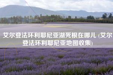 艾尔登法环利耶尼亚湖死根在哪儿 (艾尔登法环利耶尼亚地图收集)