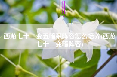 西游七十二变五暗系阵容怎么培养(西游七十二变暗阵容)