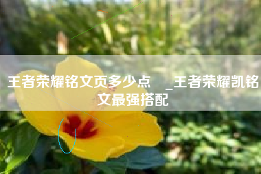 王者荣耀铭文页多少点劵_王者荣耀凯铭文最强搭配