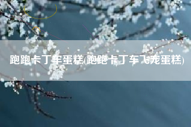 跑跑卡丁车蛋糕(跑跑卡丁车飞宠蛋糕)