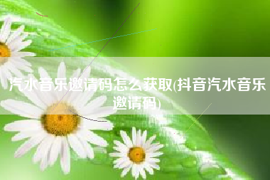 汽水音乐邀请码怎么获取(抖音汽水音乐邀请码)