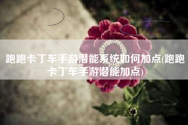 跑跑卡丁车手游潜能系统如何加点(跑跑卡丁车手游潜能加点)