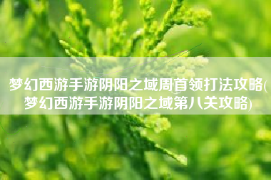 梦幻西游手游阴阳之域周首领打法攻略(梦幻西游手游阴阳之域第八关攻略)