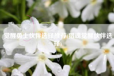 觉醒勇士伙伴选择推荐(猎魂觉醒伙伴选择)