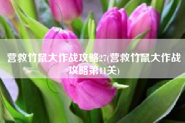 营救竹鼠大作战攻略27(营救竹鼠大作战攻略第11关)