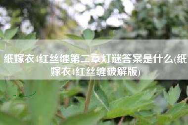 纸嫁衣4红丝缠第二章灯谜答案是什么(纸嫁衣4红丝缠破解版)