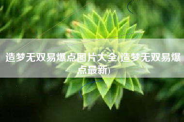 造梦无双易爆点图片大全(造梦无双易爆点最新)