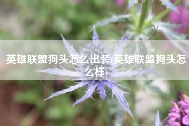 英雄联盟狗头怎么出装(英雄联盟狗头怎么样)