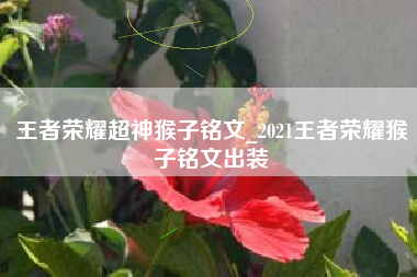 王者荣耀超神猴子铭文_2021王者荣耀猴子铭文出装