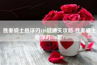 独奏骑士悬浮刃110层通关攻略(独奏骑士悬浮刃110层)
