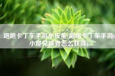 跑跑卡丁车手游小皮蛋(跑跑卡丁车手游小屋兑换券怎么获得)