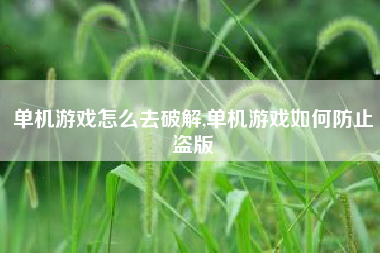 单机游戏怎么去破解,单机游戏如何防止盗版
