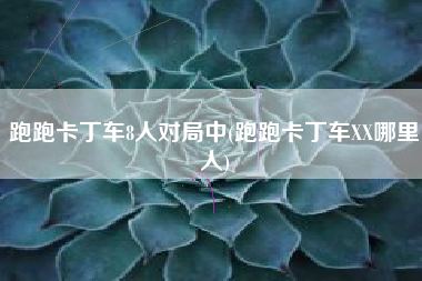 跑跑卡丁车8人对局中(跑跑卡丁车XX哪里人)