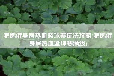 肥鹅健身房热血篮球赛玩法攻略(肥鹅健身房热血篮球赛满级)