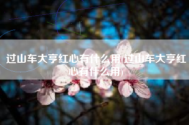 过山车大亨红心有什么用(过山车大亨红心有什么用)