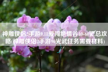 神雕侠侣2手游9.18爱闯绝情谷40-60汇总攻略(神雕侠侣2手游96光武任务需要材料)