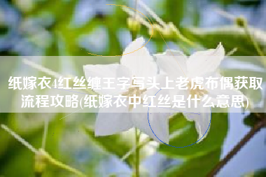 纸嫁衣4红丝缠王字写头上老虎布偶获取流程攻略(纸嫁衣中红丝是什么意思)