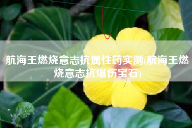 航海王燃烧意志抗属性药实测(航海王燃烧意志抗爆伤宝石)