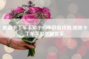 跑跑卡丁车手游小鸡车获取攻略(跑跑卡丁车手游小屋管家)